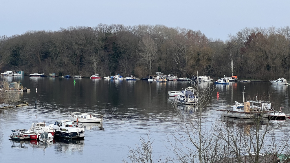 Hausboote, Wohninseln, Ufer, Stralau, Treptower Park, Wasser